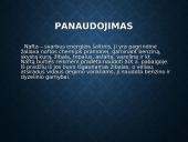 Skaidrės apie naftą 19 puslapis