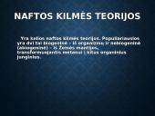 Skaidrės apie naftą 3 puslapis