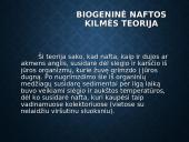 Skaidrės apie naftą 4 puslapis