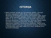 Skaidrės apie naftą 5 puslapis