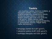 Skaidrės apie naftą 8 puslapis