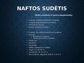 Skaidrės apie naftą 10 puslapis