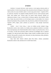 Pirštų lėlių kūrimas ir valdymas; panaudojimas ikimokyklinio amžiaus vaikų vaidinimuose. scenelės kūrimas. 3 puslapis