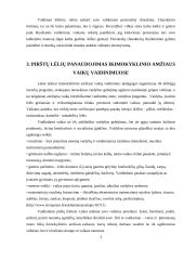 Pirštų lėlių kūrimas ir valdymas; panaudojimas ikimokyklinio amžiaus vaikų vaidinimuose. scenelės kūrimas. 5 puslapis