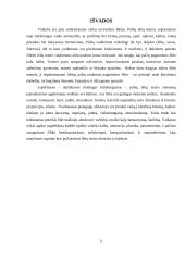 Pirštų lėlių kūrimas ir valdymas; panaudojimas ikimokyklinio amžiaus vaikų vaidinimuose. scenelės kūrimas. 7 puslapis