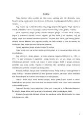 Pinigų funkcijų samprata 2 puslapis