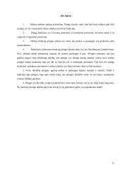 Pinigų funkcijų samprata 11 puslapis