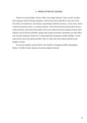 Pinigų funkcijų samprata 10 puslapis