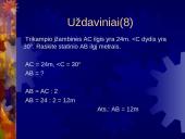 Pitagoro teorema skaidrės 17 puslapis