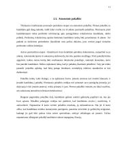 Personalo planavimas 11 puslapis