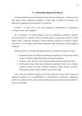 Personalo planavimas 13 puslapis