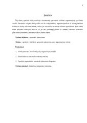 Personalo planavimas 3 puslapis