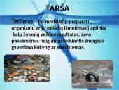 Projektinis darbas apie vandens taršą 5 puslapis