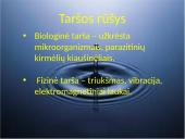 Projektinis darbas apie vandens taršą 6 puslapis