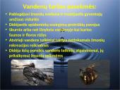 Projektinis darbas apie vandens taršą 9 puslapis