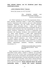 Savanorystė Lietuvoje 13 puslapis