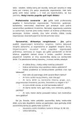 Savanorystė Lietuvoje 5 puslapis