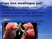 Oras. Oro tarša 8 puslapis