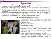 Gyvenimo įgūdžių ugdymas plėtojant sveikatos saugojimo kompetenciją 18 puslapis