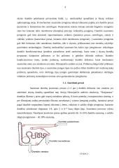 Dumblo sausinimo irenginio projektavimas 4 puslapis