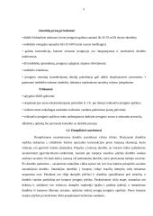 Dumblo sausinimo irenginio projektavimas 5 puslapis