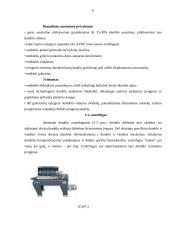 Dumblo sausinimo irenginio projektavimas 6 puslapis