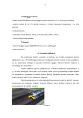 Dumblo sausinimo irenginio projektavimas 7 puslapis