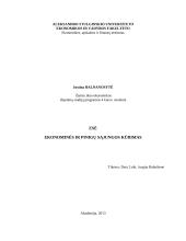 Ekonominės ir pinigų sąjungos kūrimas