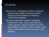 Pussiausvyrą įtakojantys veiksniai 2 puslapis