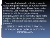 Pussiausvyrą įtakojantys veiksniai 11 puslapis