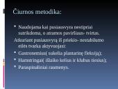 Pussiausvyrą įtakojantys veiksniai 16 puslapis