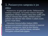 Pussiausvyrą įtakojantys veiksniai 4 puslapis