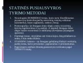 Pussiausvyrą įtakojantys veiksniai 9 puslapis