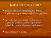 Pamoka ,,Peizažo aprašymas” 11 puslapis