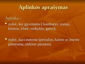 Pamoka ,,Peizažo aprašymas” 14 puslapis