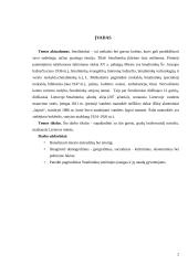 Smalininkai 2 puslapis