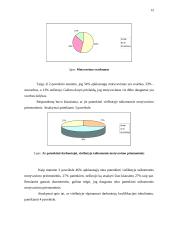 Darbuotojų motyvavimo priemonės 12 puslapis