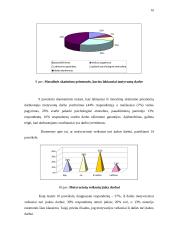 Darbuotojų motyvavimo priemonės 16 puslapis