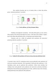 Darbuotojų motyvavimo priemonės 17 puslapis