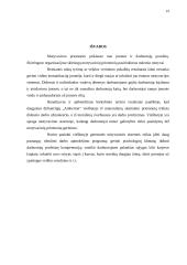 Darbuotojų motyvavimo priemonės 19 puslapis