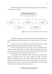 Darbuotojų motyvavimo priemonės 8 puslapis