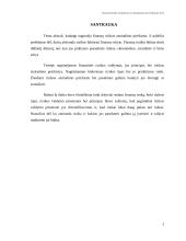 Finansinės rizikos atsiradimo priežastys 2 puslapis