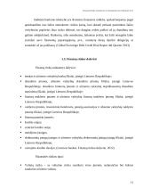 Finansinės rizikos atsiradimo priežastys 11 puslapis