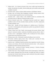 Finansinės rizikos atsiradimo priežastys 12 puslapis