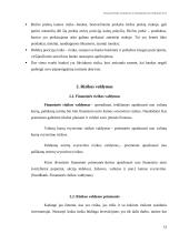 Finansinės rizikos atsiradimo priežastys 13 puslapis