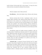 Finansinės rizikos atsiradimo priežastys 14 puslapis