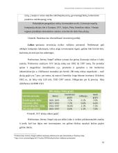 Finansinės rizikos atsiradimo priežastys 16 puslapis
