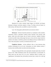 Finansinės rizikos atsiradimo priežastys 17 puslapis