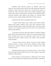 Finansinės rizikos atsiradimo priežastys 19 puslapis