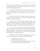 Finansinės rizikos atsiradimo priežastys 20 puslapis